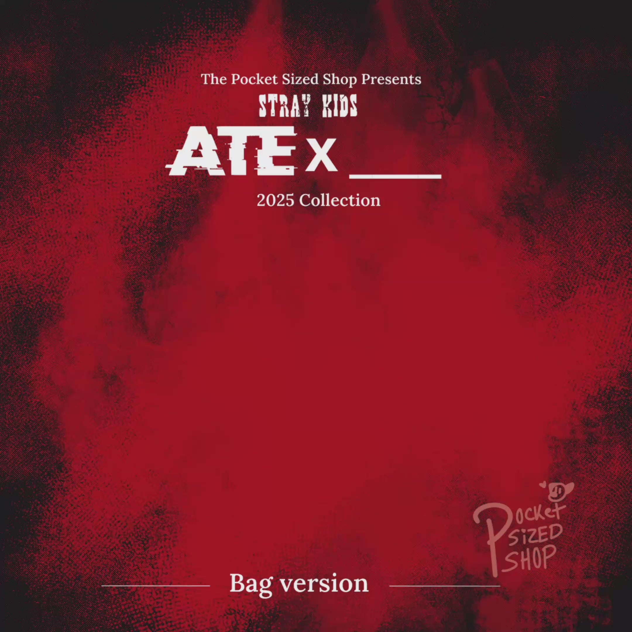 STRAY KIDS – Pocket Sized Shop